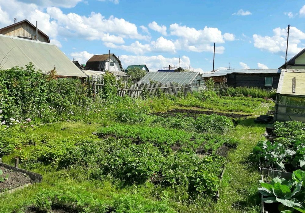 Покупка сада за наличные