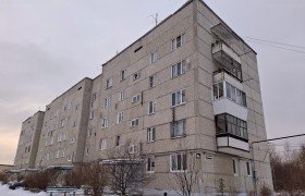 Портфолио по приватизации и продаже квартиры с опекой
