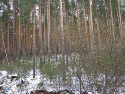 2-комнатная, 48 м2, 2/5 эт. 2-комнатная, 48 м2, 2/5 эт.