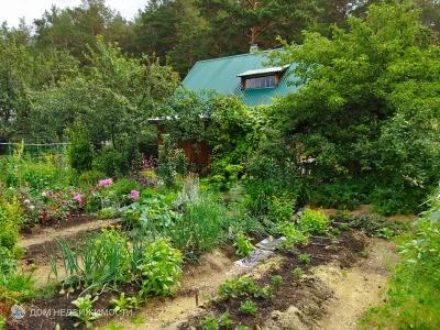 Сад, 50 м2, 2/2 эт.